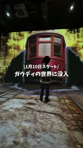 にゃんママ｜東京都心✈️子連れおでかけガイドのTikTok投稿