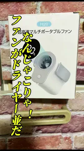 おバカ夫婦の日常のTikTok投稿