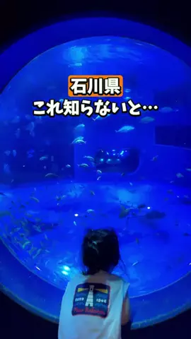しーぱぱ|北陸・週末子連れお出かけのTikTok投稿