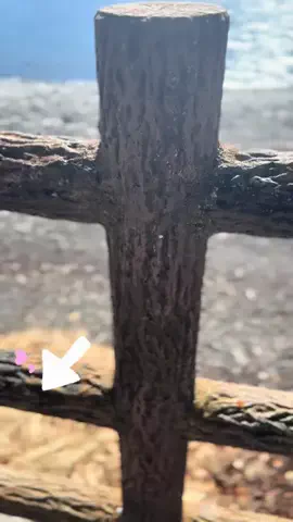 とん（旅動画）のTikTok投稿