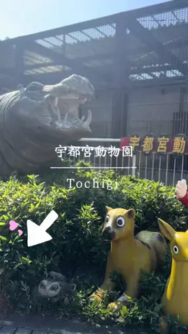 とん（旅動画）のTikTok投稿