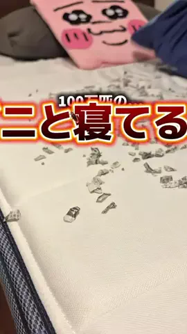 たん/ラクして整う垢抜け生活のTikTok投稿