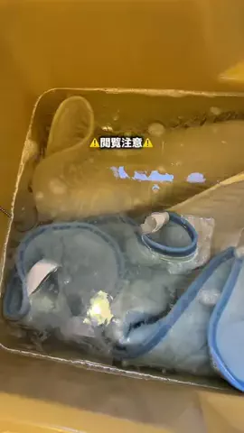 たん/ラクして整う垢抜け生活のTikTok投稿