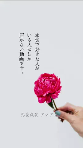 恋愛成就🔮アマアノアのTikTok投稿