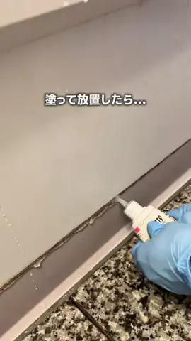 たん/ラクして整う垢抜け生活のTikTok投稿