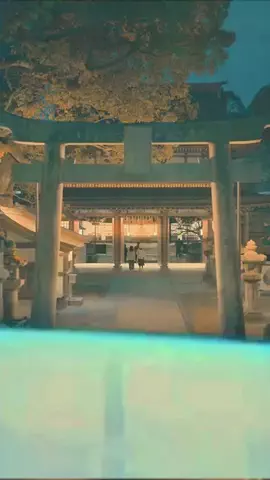 Japan WalkerのTikTok投稿