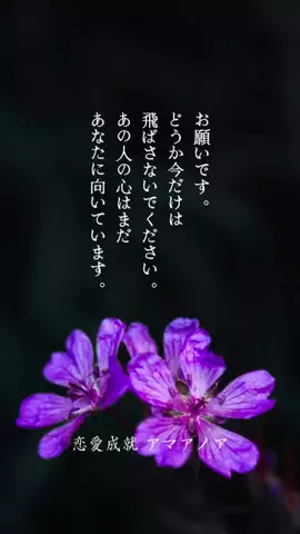 恋愛成就🔮アマアノアのTikTok投稿