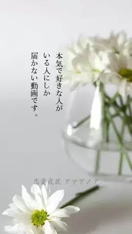 恋愛成就🔮アマアノアのTikTok投稿