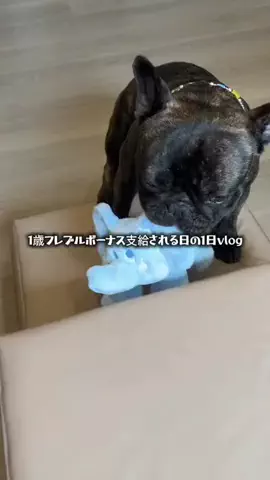 よだれ🤤のTikTok投稿