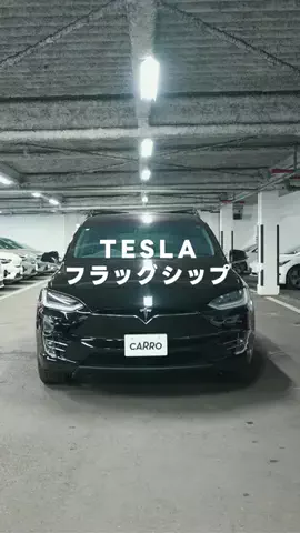 ポールの浪漫のTikTok投稿