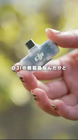 ポールの浪漫のTikTok投稿