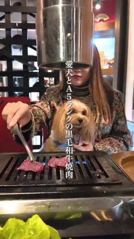 wannavi_mediaのTikTok投稿
