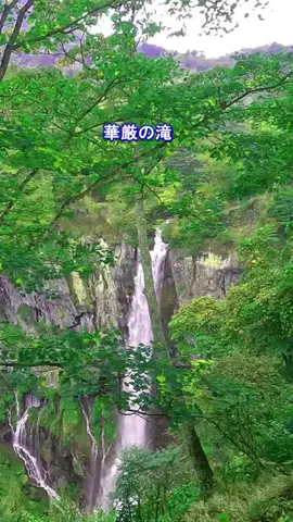 おでかけポコのTikTok投稿