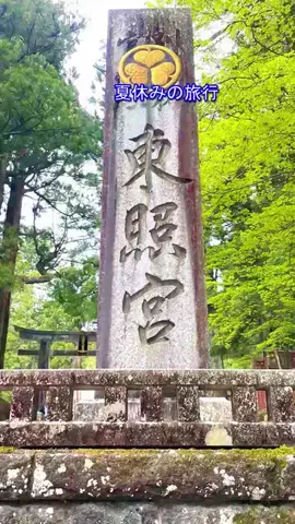 おでかけポコのTikTok投稿