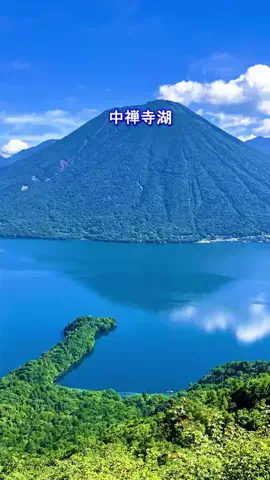 おでかけポコのTikTok投稿