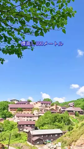 おでかけポコのTikTok投稿