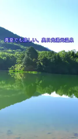 おでかけポコのTikTok投稿