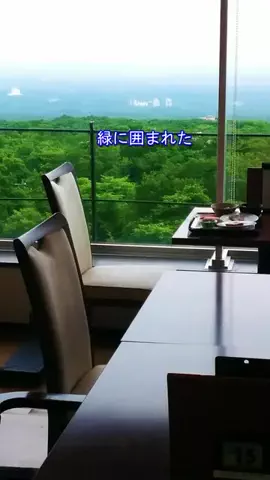 おでかけポコのTikTok投稿