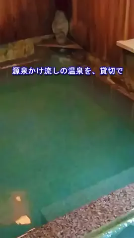おでかけポコのTikTok投稿