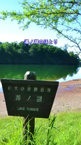 おでかけポコのTikTok投稿