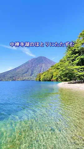 おでかけポコのTikTok投稿