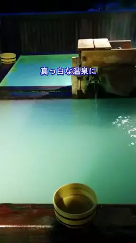 おでかけポコのTikTok投稿