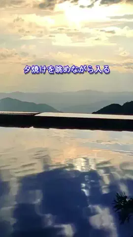 おでかけポコのTikTok投稿