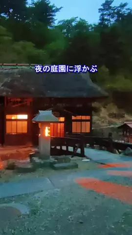 おでかけポコのTikTok投稿