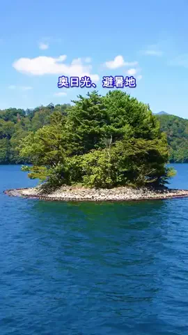おでかけポコのTikTok投稿