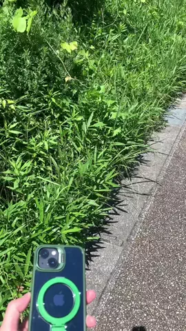 TikTok Shopで飯食えだした車好きのTikTok投稿