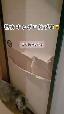 もね|ママのモチべをあげる人のTikTok投稿