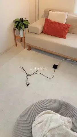 ぱくちゃ |シンプルな暮らしのTikTok投稿