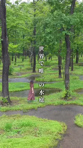 たけ | 東京デートのTikTok投稿