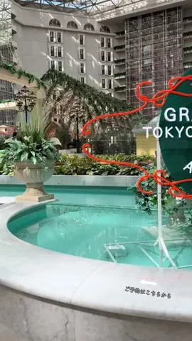 ルイハナちゃんのTikTok投稿