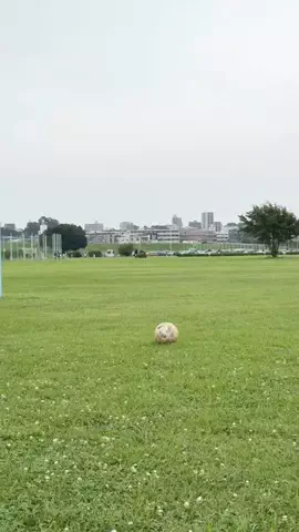 内田金吾（きんご）のTikTok投稿