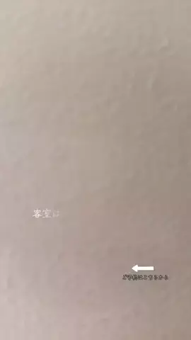ルイハナちゃんのTikTok投稿