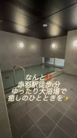ルイハナちゃんのTikTok投稿