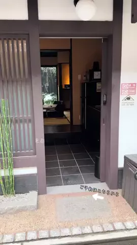ルイハナちゃんのTikTok投稿