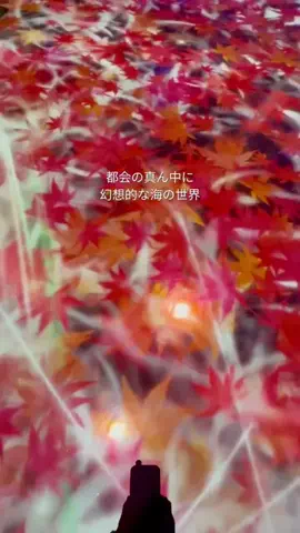 みみのTikTok投稿