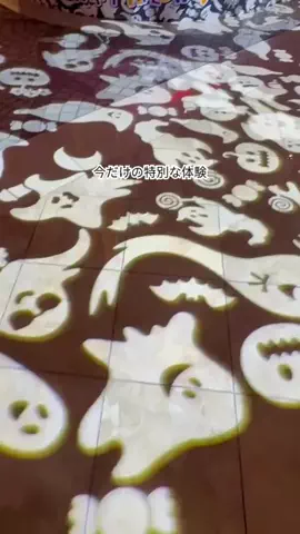 みみのTikTok投稿