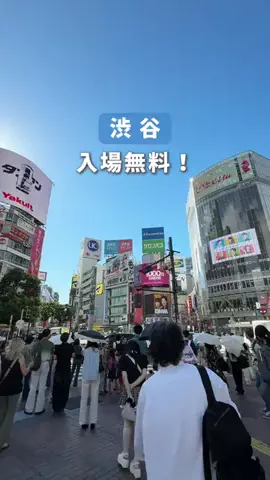 ひだまり｜東京発おでかけカップル☀️のTikTok投稿