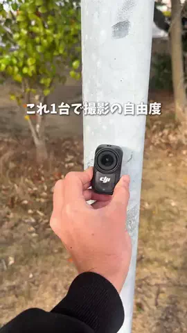 オルカナビ 名古屋グルメ🫍オルナビ🫍のTikTok投稿