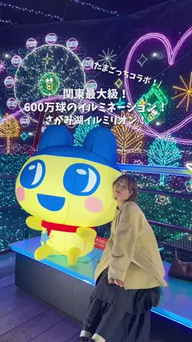オルカナビ 名古屋グルメ🫍オルナビ🫍のTikTok投稿