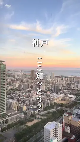 めぐっぺのTikTok投稿