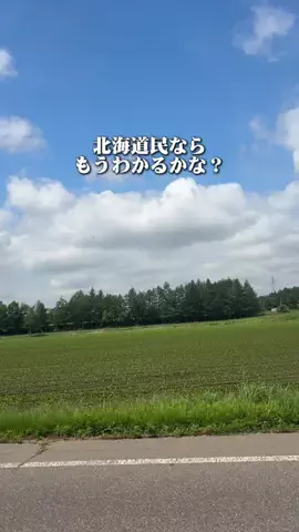 北海道グルメ／HOKKAIDO SELECTのTikTok投稿