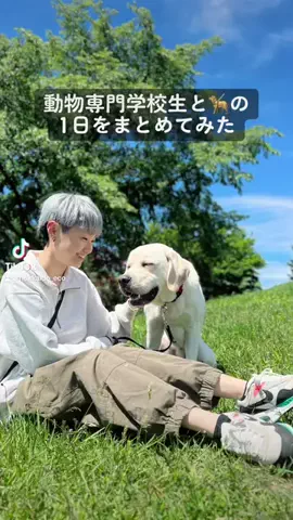動物150種300頭羽の専門学校🐾のTikTok投稿