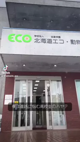 動物150種300頭羽の専門学校🐾のTikTok投稿