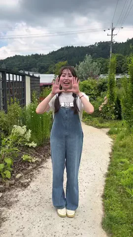 オルカナビ 名古屋グルメ🫍オルナビ🫍のTikTok投稿