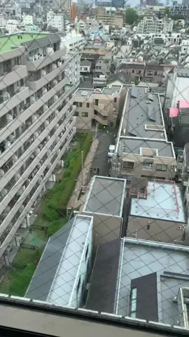 かなのTikTok投稿