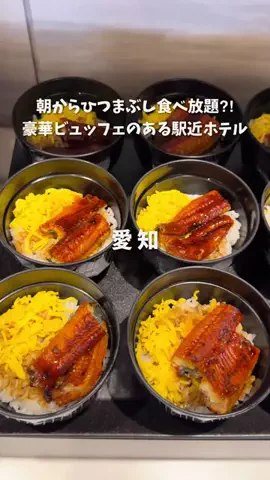オルカナビ 名古屋グルメ🫍オルナビ🫍のTikTok投稿